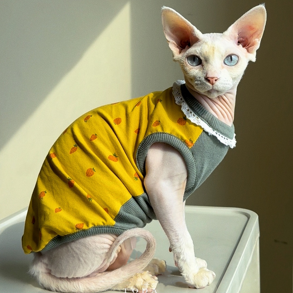 Yellow Summer Clothing - Ropa para Gatos, Chaleco de Algodón