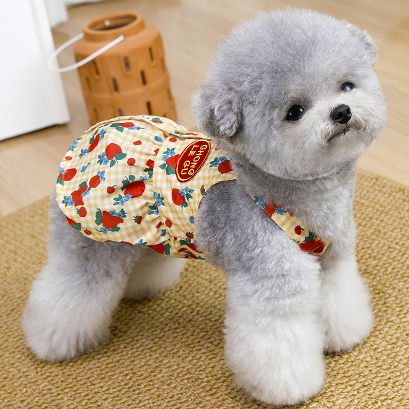 Ropa para perros Sweet Dog, ve - Yellow Summer Clothing reseña y precio