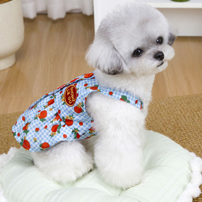 Ropa para perros Sweet Dog, ve - Yellow Summer Clothing reseña y precio